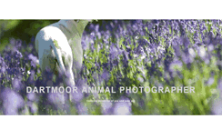 Desktop Screenshot of dartmoor-animal-photographer.co.uk