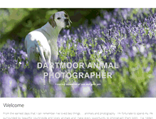 Tablet Screenshot of dartmoor-animal-photographer.co.uk